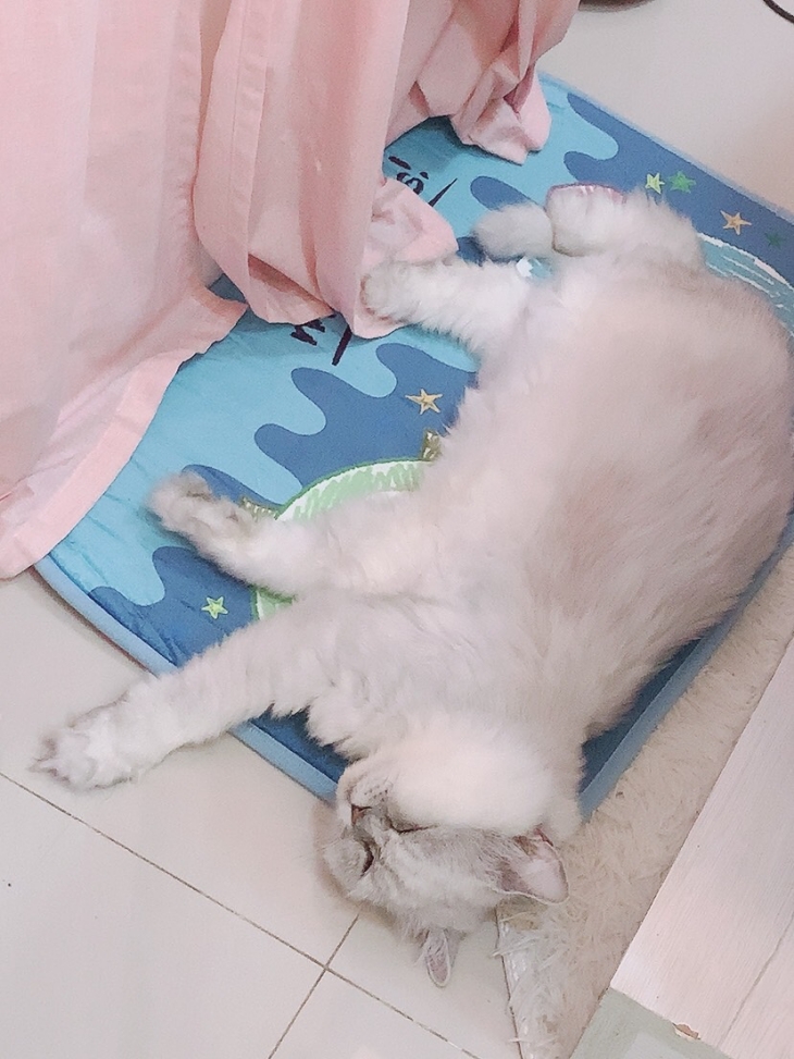 小時代時尚美學美甲美睫