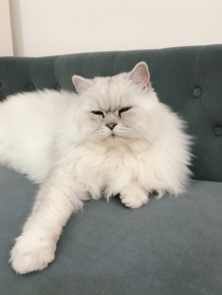 小時代時尚美學美甲美睫