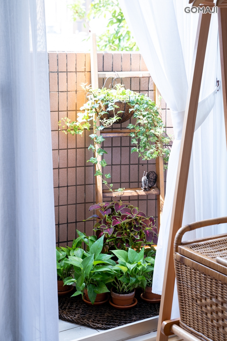 Pure Eyelash 日式美睫