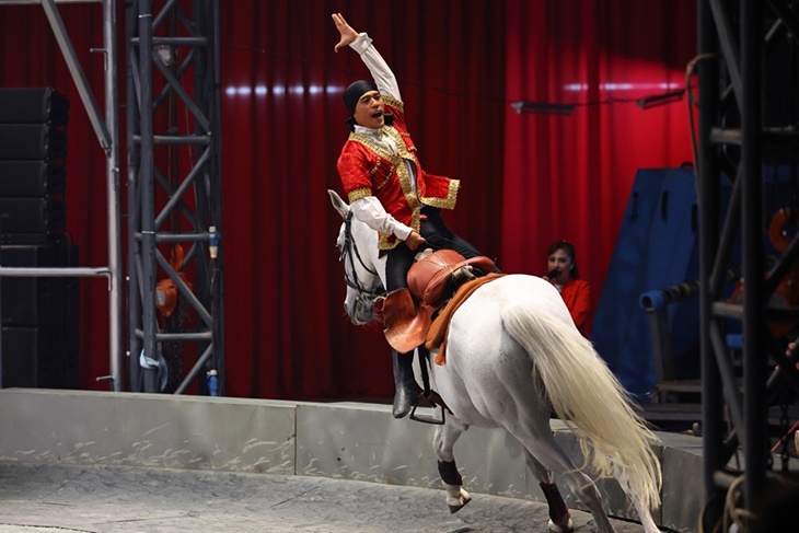 美洲瘋馬大馬戲團