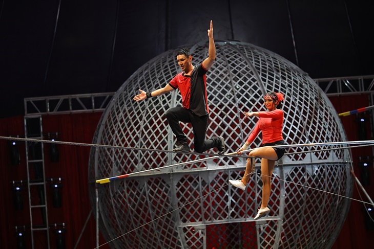 美洲瘋馬大馬戲團