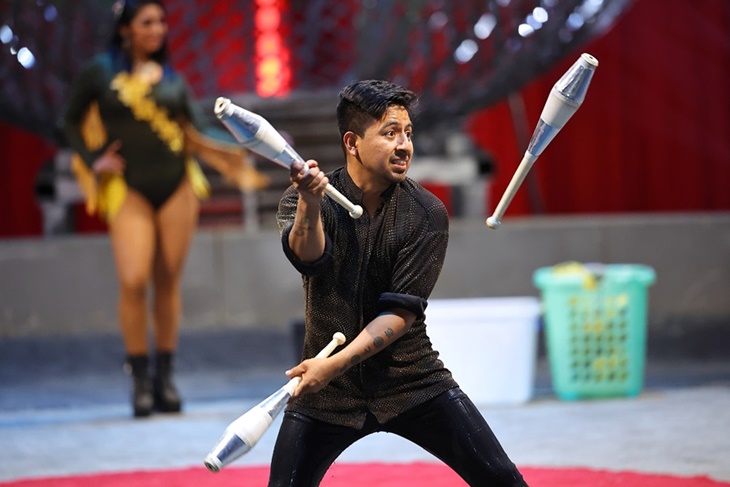 美洲瘋馬大馬戲團