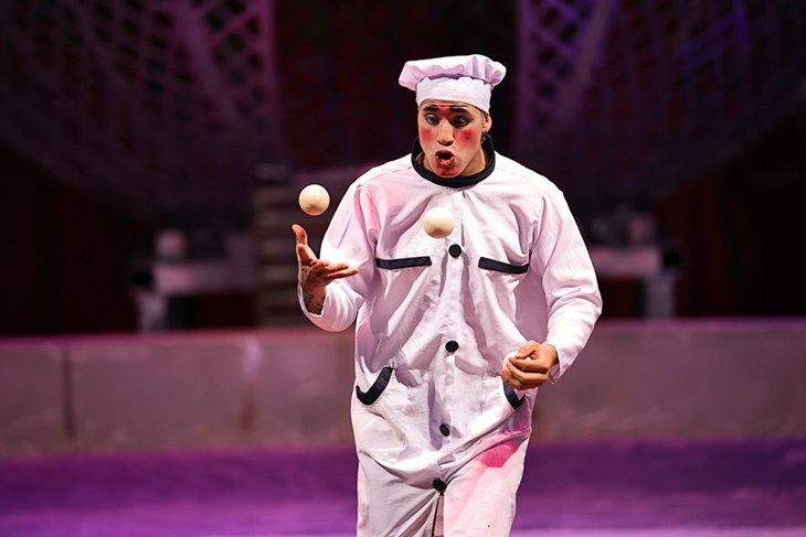 美洲瘋馬大馬戲團