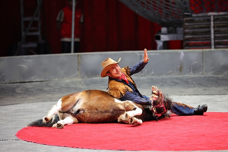 美洲瘋馬大馬戲團