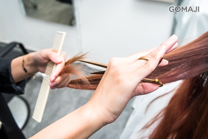 職人髮型設計剪裁 + 造型吹整