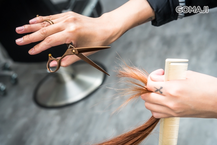 職人髮型設計剪裁 + 造型吹整