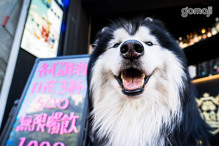 轟尬Bar