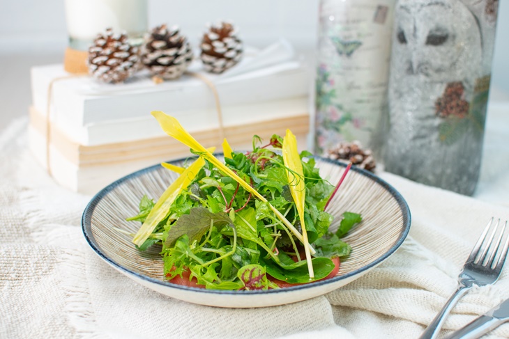 水耕什錦蔬菜(溯源番茄)