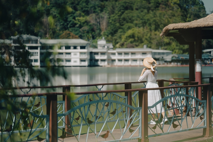 埔里鯉魚潭園區