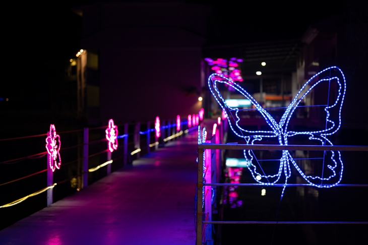 園區蝴蝶水上廊道