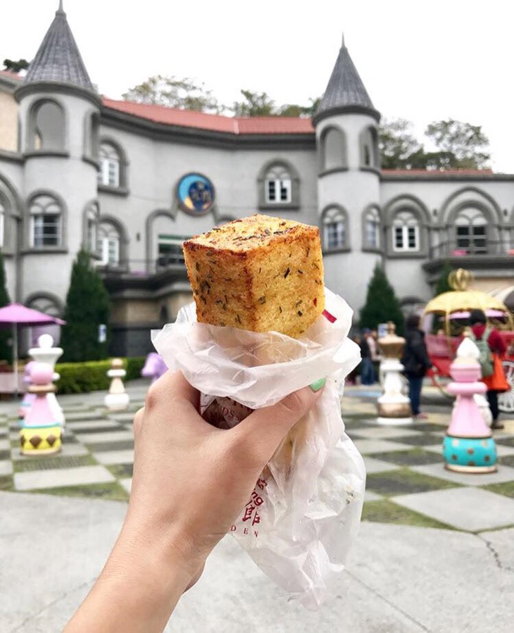 大黑松小倆口元首館