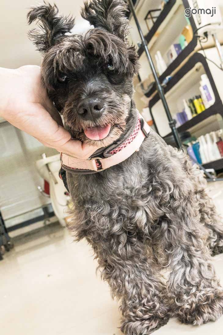 無名 沙龍整體設計