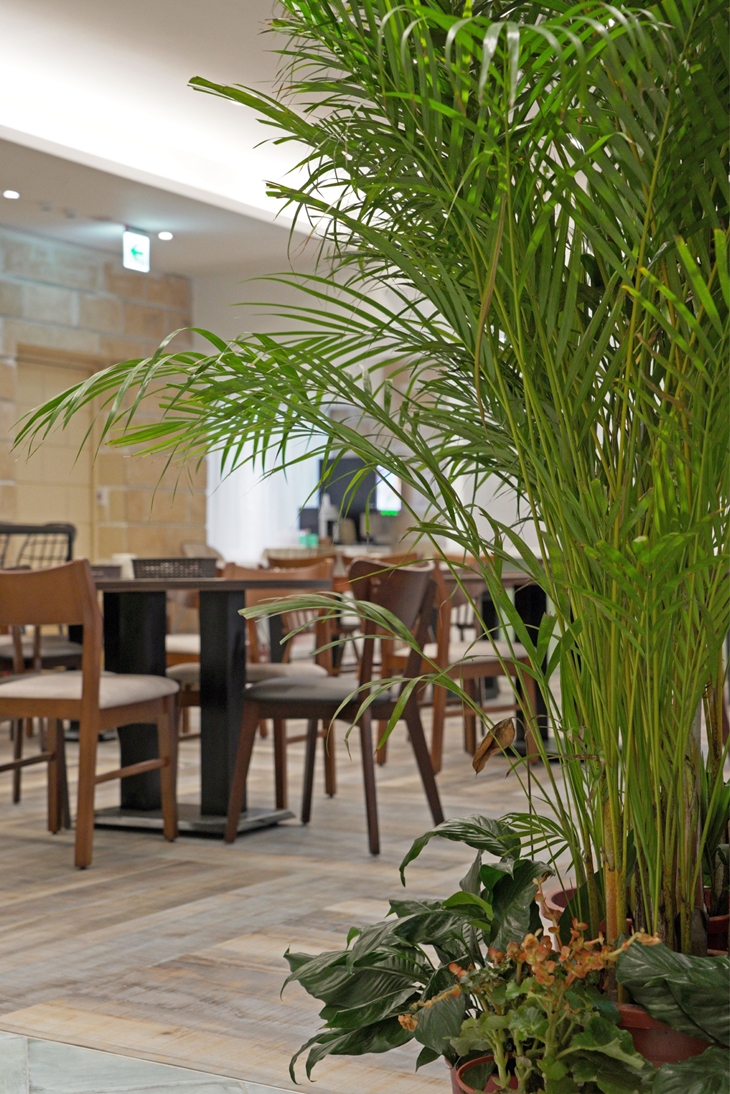 WE CAFE 輕食-和怡商旅