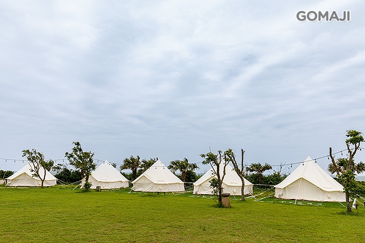 免裝備奢華露營