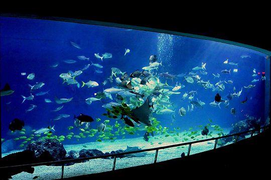 屏東-國立海洋生物博物館