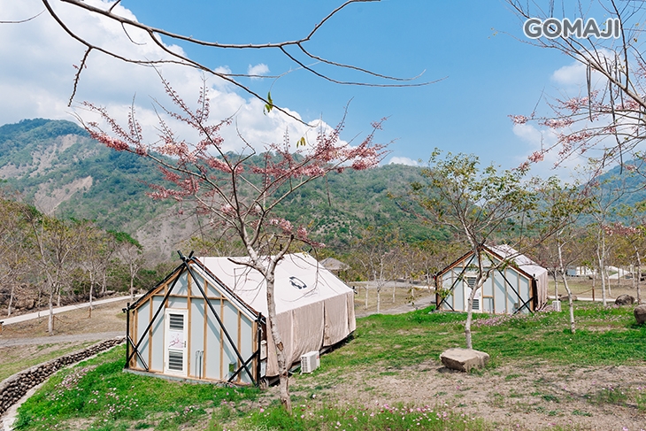 高雄寶來遠山望月溫泉風呂 露營區環境
