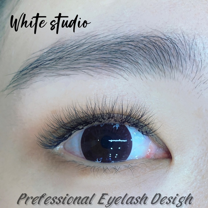 6D氣質微妝感450根雲朵輕盈氣墊睫毛