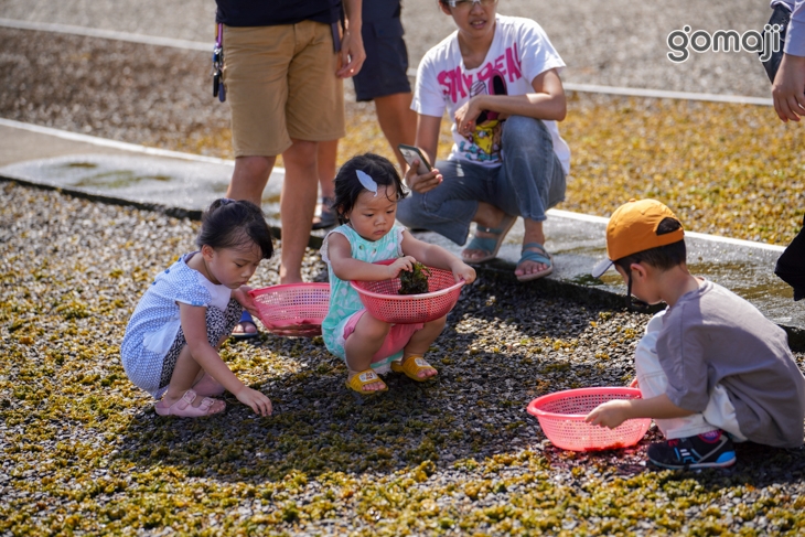 墾丁-楚諾生態農場