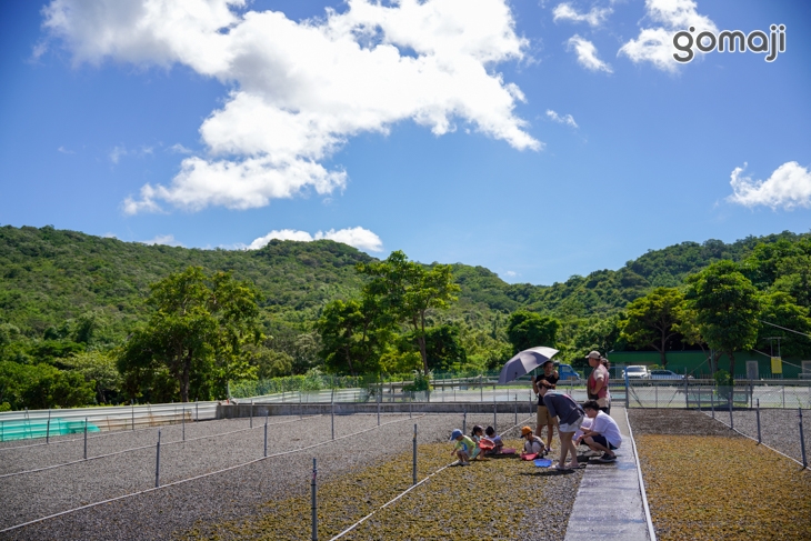 墾丁-楚諾生態農場