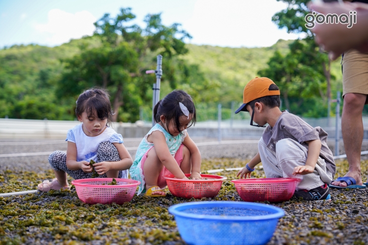 墾丁-楚諾生態農場