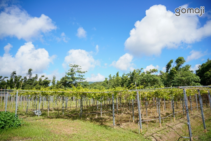 墾丁-楚諾生態農場