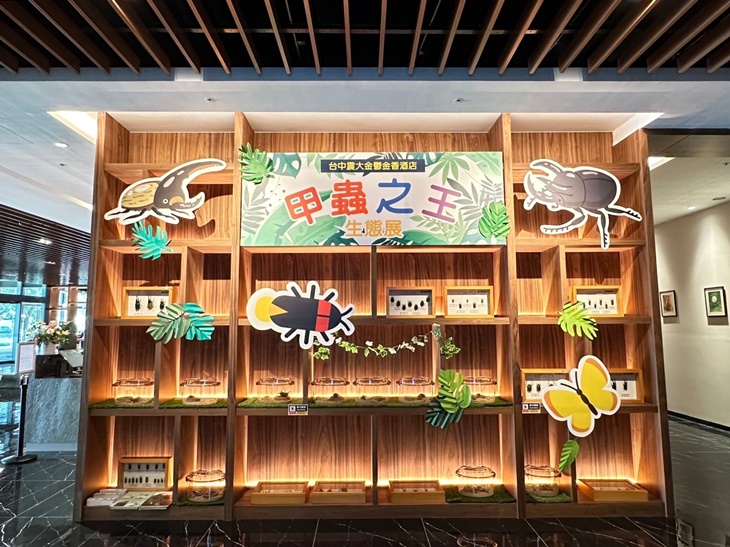 甲蟲活體展示及標本