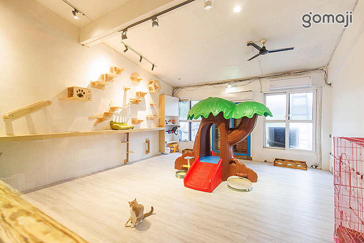 伊莉莎海灘咖啡館