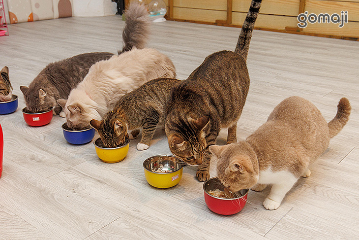 伊莉莎海灘咖啡館