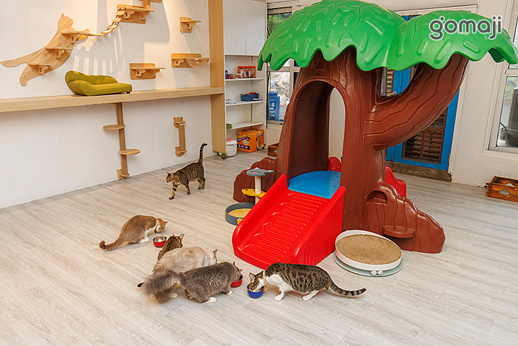 伊莉莎海灘咖啡館