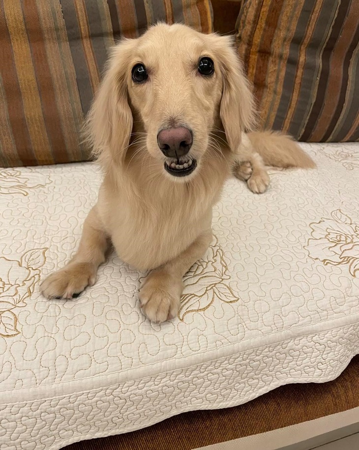 梵漾美甲工作室