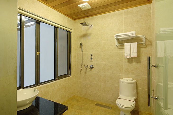 山水棕櫚Villa雙人客房