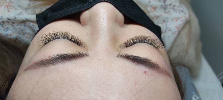 眼線感600根嫁接