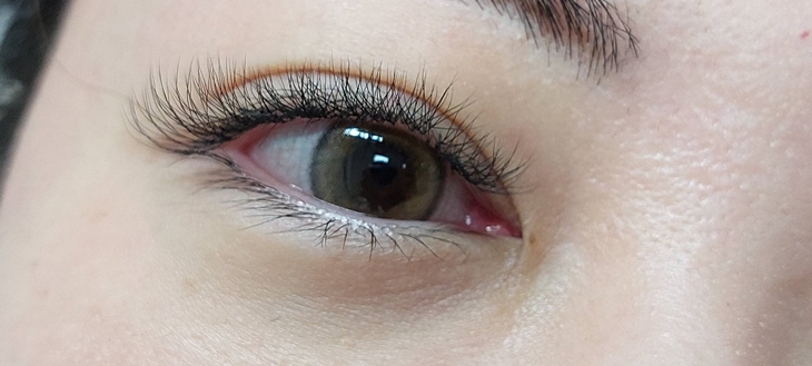 眼線感600根嫁接