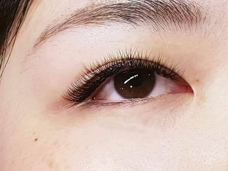 眼線感600根嫁接