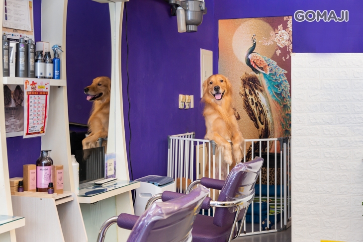 摩髮絲造型沙龍