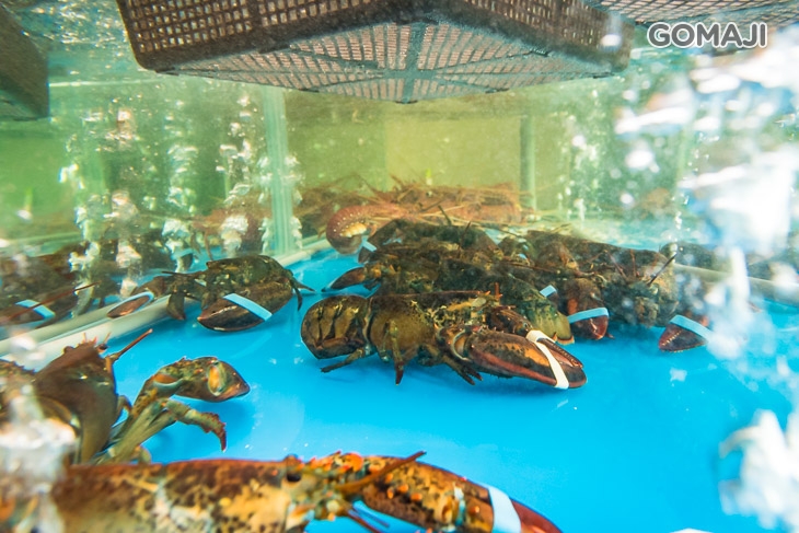 活體海鮮區
