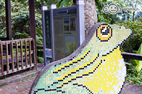 水蛙頭自然步道