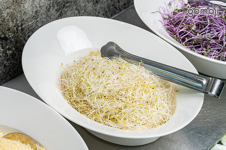 蔬食沙拉區