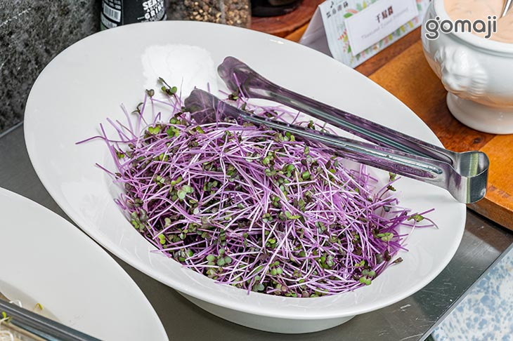 蔬食沙拉區