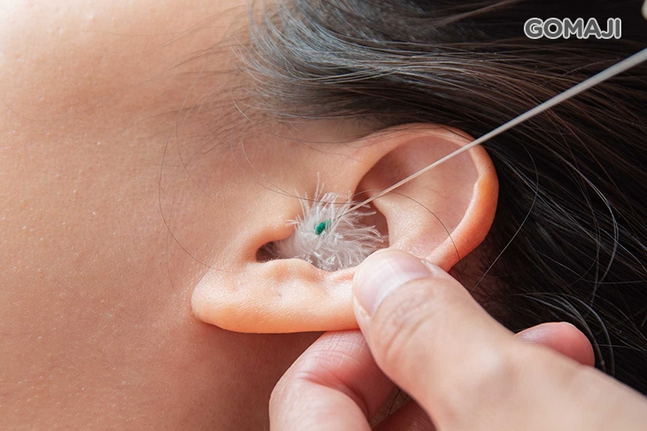 耳道清潔護理