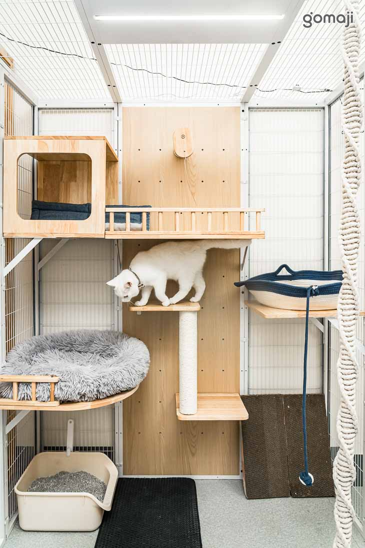 貓貓住宿總統套房