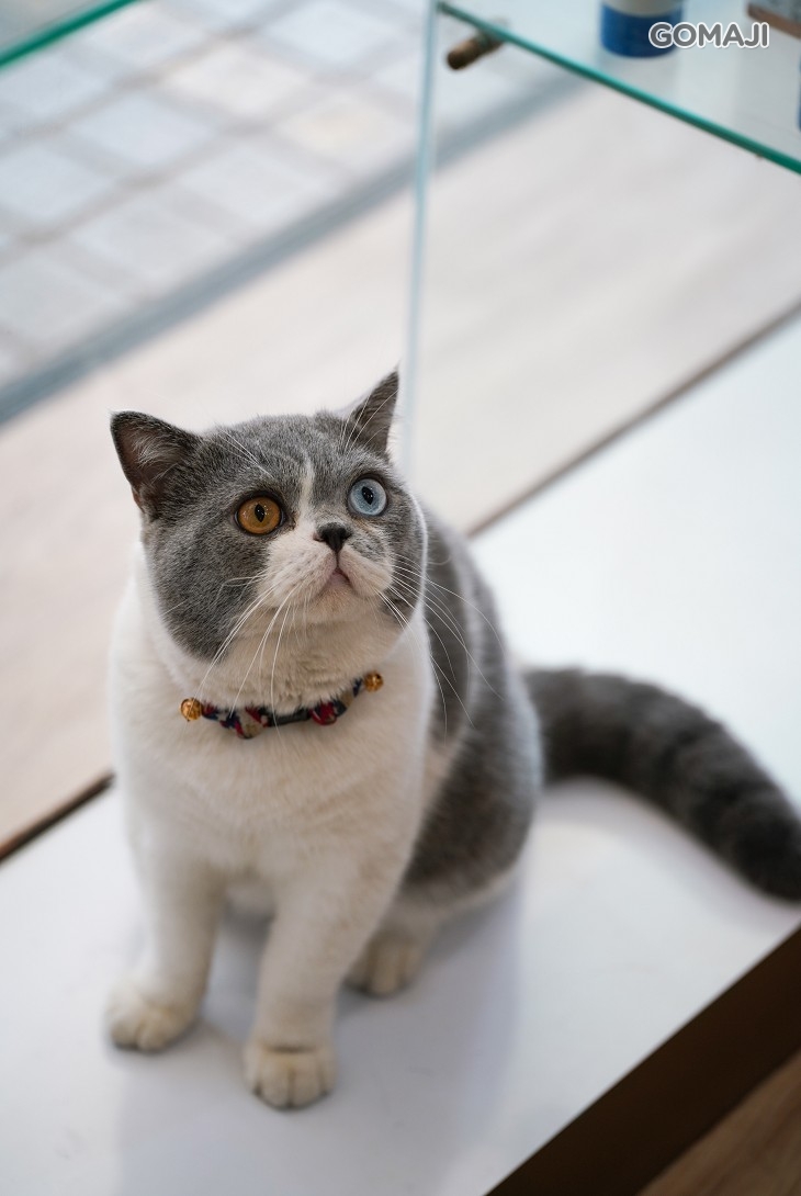 好萊屋美髮沙龍