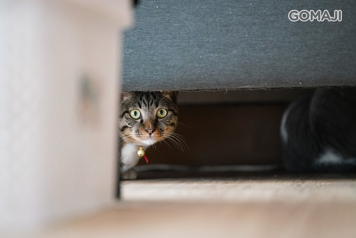 好萊屋美髮沙龍