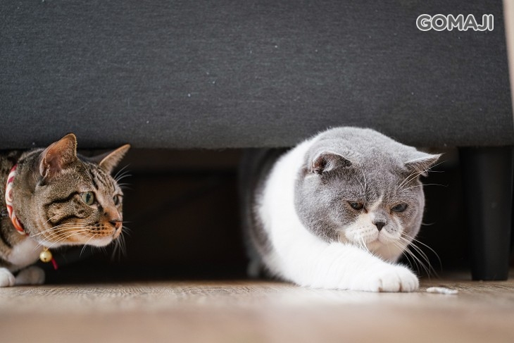 好萊屋美髮沙龍