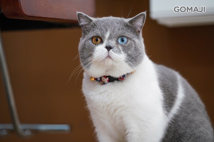 好萊屋美髮沙龍