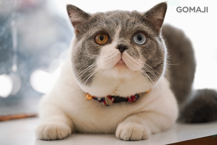 好萊屋美髮沙龍