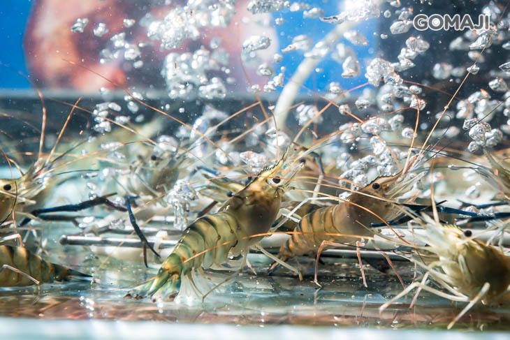 潼阪 帝王蟹黑毛牛頂級燒烤