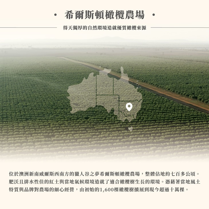 澳洲特級初榨天然風味橄欖油