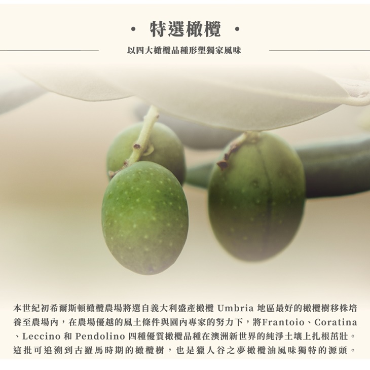澳洲特級初榨天然風味橄欖油