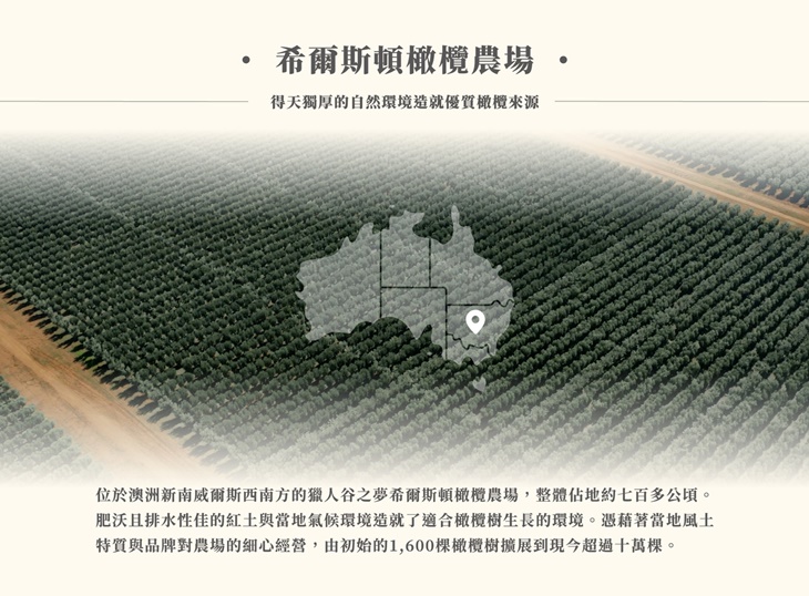 【獵人谷之夢】 澳洲特級初榨橄欖油250毫升